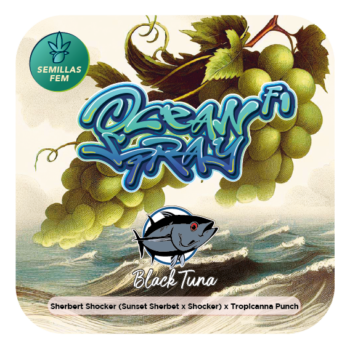 Ocean Spray by Black Tuna